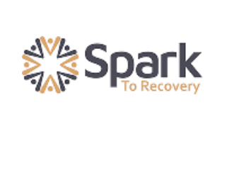 Spark to Recovery logo